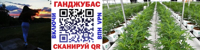 Наркошоп Спасск Бошки Шишки  MDMA  Гашиш  APVP 