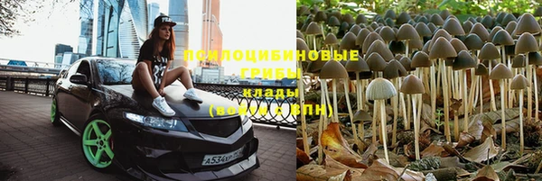 экстази Баксан